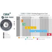 Máy xay cà phê tự động Mini Cera CGE01