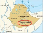 Cà Phê Gió Xưa ETHIOPIA W.YIRGACHEFFE G1- Sơ chế Wash