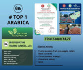 Arabica Top 1 Amazing cup 2025 8Ro